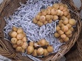 Bunch of Langsat Fruit in Woven Basket Royalty Free Stock Photo