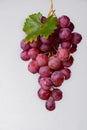 Bunch of large organic table grapes Red Globe Royalty Free Stock Photo