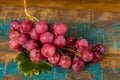 Bunch of large organic table grapes Red Globe Royalty Free Stock Photo