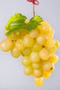 Bunch of large organic table white grapes Royalty Free Stock Photo