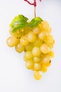 Bunch of large organic table white grapes Royalty Free Stock Photo