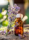 Bunch of lavandula or lavender flowers and oil bottle are on the