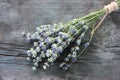 Bunch of lavender flowers on gray wooden background. Close-up, top view Royalty Free Stock Photo