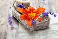 Bunch of lavender flowers and lily in basket on an old wood tab