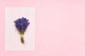 Bunch of lavender flowers on a pink background. Top view, copy space Royalty Free Stock Photo