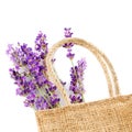 Bunch of lavender flowers in the rag bag on white background Royalty Free Stock Photo