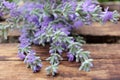 Bunch of lavender flowers on rough wooden background. Close-up, top view Royalty Free Stock Photo