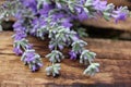 Bunch of lavender flowers on rough wooden background. Close-up, top view Royalty Free Stock Photo