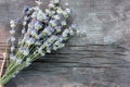 Bunch of lavender flowers on gray wooden background. Close-up, top view Royalty Free Stock Photo