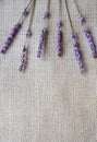 Bunch of lavender flowers on sackcloth Royalty Free Stock Photo