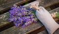Bunch of lavender flowers and scented flower sachet on wood. Royalty Free Stock Photo