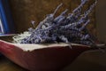 Bunch of Lavender Royalty Free Stock Photo