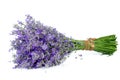 Bunch of Lavender isolated on a white Royalty Free Stock Photo