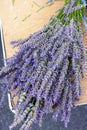 bunch of lavenders, market in Nyons, Rhone-Alpes, France