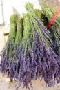bunch of lavenders, market in Nyons, Rhone-Alpes, France
