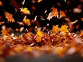 A bunch of leaves that are falling down on the ground Royalty Free Stock Photo
