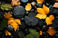 Bunch of leaves that are on some rocks and water. Generative AI Royalty Free Stock Photo