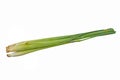 A bunch of lemon grass Royalty Free Stock Photo
