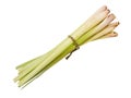 Bunch lemongrass Royalty Free Stock Photo