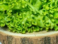 Bunch of lettuce on a wooden tray. Salad concept. Vitamin of natural origin. Leaves up close. Grass background for food. Useful