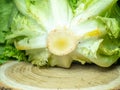 Bunch of lettuce on a wooden tray. Salad concept. Vitamin of natural origin. Leaves up close. Grass background for food. Useful Royalty Free Stock Photo