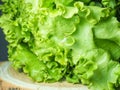 Bunch of lettuce on a wooden tray. Salad concept. Vitamin of natural origin. Leaves up close. Grass background for food. Useful