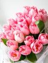 Bunch of light gentle pink Fringed Mascotte tulip, bouquet of spring flowers