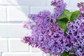 Bunch of lilac on background of white brick wall in a sunny spring day. Branches of blooming purple lilac flowers, decor idea conc Royalty Free Stock Photo