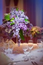 Bunch lilac in vase