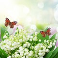 Bunch of Lilly of valley Royalty Free Stock Photo