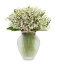 bunch of lilly of valley flowers in glass vase isolated on white background Royalty Free Stock Photo