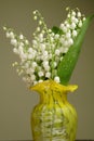 Bunch of lily of the valley Royalty Free Stock Photo