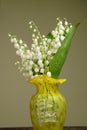 Bunch of lily of the valley Royalty Free Stock Photo