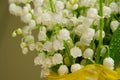 Bunch of lily of the valley Royalty Free Stock Photo