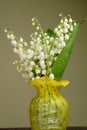 Bunch of lily of the valley Royalty Free Stock Photo
