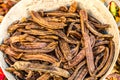 Bunch of locust beans Royalty Free Stock Photo