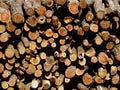 A bunch of logs