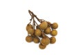 A bunch of longan fruits on a white background. Royalty Free Stock Photo