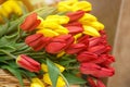 Bunch of lovely red and yellow tulips Royalty Free Stock Photo