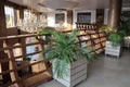A bunch of lush green tropical areca palm tree planted in a wooden box. Well furnished wooden interior of a luxurious cruise and