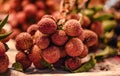 A bunch of lychee bunches are sold seasonally in a common fresh market