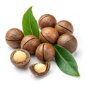 A bunch of macadamia nuts with shell isolated on white background Royalty Free Stock Photo