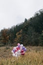 Bunch of many colorful balloons in a green meadow in a forest with huge fir trees