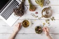 Bunch of medicinal herbs, cup of healthy tea and bag of dry healthy coneflowers on wooden board. Herbal medicine. Royalty Free Stock Photo