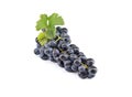 Bunch of Merlot grape with leaf on white background