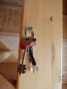 A bunch of metal keys hangs on a nail on a wooden wall