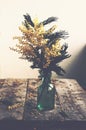 Bunch of mimosa in green bottle on rustic wooden table