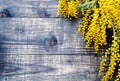 Bunch of mimosa, on rustic wooden background, close up