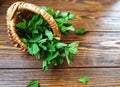 bunch of mint in a small wicker basket on old burnt wooden background Royalty Free Stock Photo