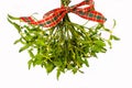 Bunch of mistletoe Royalty Free Stock Photo